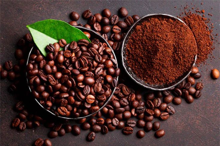 Historia del café en México